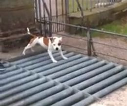 �Ϥꤿ�������Ϥ�ʤ�����֤��ݤ�������ä����ʤ�����