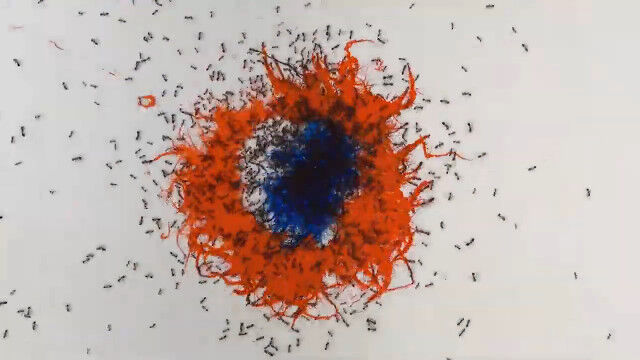 ���顼���󥯤ξ�˥ҥ������碌�������Ȥ���������