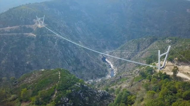 ݥȥ˷ߤ줿ĹԼߤ궶Ĺ⤵ɤϤ󡢶־ξë줬Τ