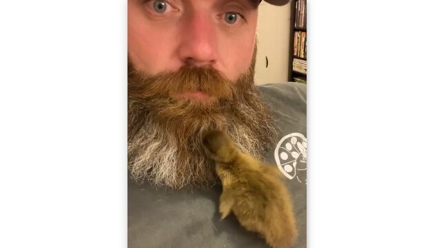 �ҥ����⥵�⥵�����Ƥ���ȡ��ҥ���οƤˤʤ��Ȥ�������