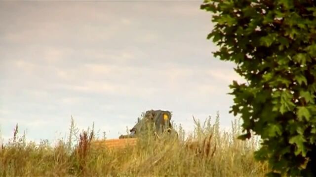 ʹֳ©롢εʪ֤ɤäɥ󥿥꡼