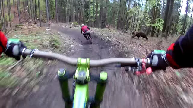 山道をサイクリング中にクマに遭遇!襲われかけてしまう瞬間が恐ろしい