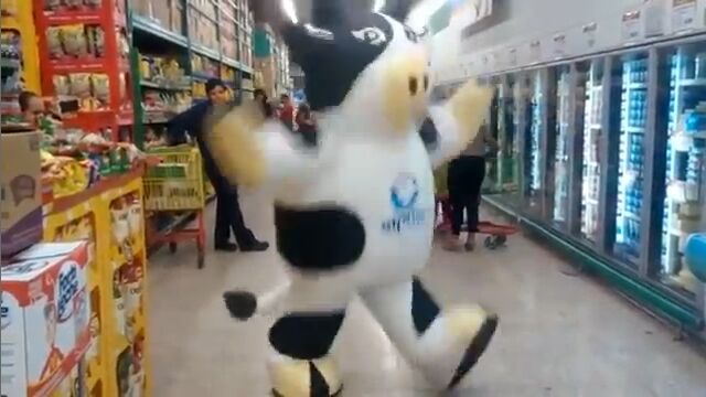 相変わらず邪魔だけどダンスが凄すぎる!ブラジルのスーパー店内で踊る牛のマスコットキャラクター