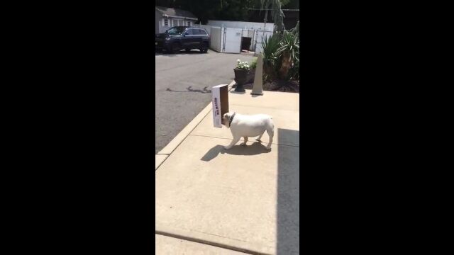 ���������󤼤󸫤��ʤ����פȤ������֤Ǥ�褷��Υ���ʤ�������ܡ���Ȣ�򰦤��Ƥ�ޤʤ��֥�ɥå���