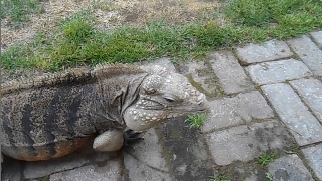 ̾����Ƥ֤Ȥ�äƤ��롢���ߤ����ʥ������ʤ��ʤ��ʤ��İ���