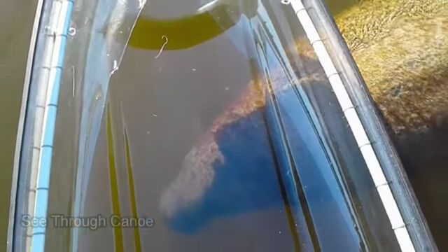 ������ˤ��ޥʥƥ������ݸ�����Ʃ�����̡�����ߤ�����