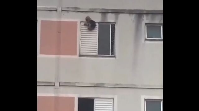 マンションの窓から犬が落下するアクシデント。下の階の女性が見事キャッチ