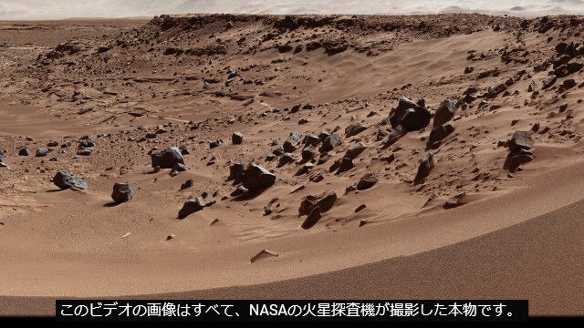 ����õ���������Ƥ������̤μ̿������������Ķ�����ʲ���������