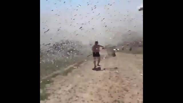 �볦��ʤ���Ԥ����Хå��η��졣�����ο�������ǻ��Ƥ��줿����������