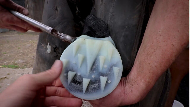 馬のヒヅメをレジンで固めて蹄鉄を履かせるという新しい試み