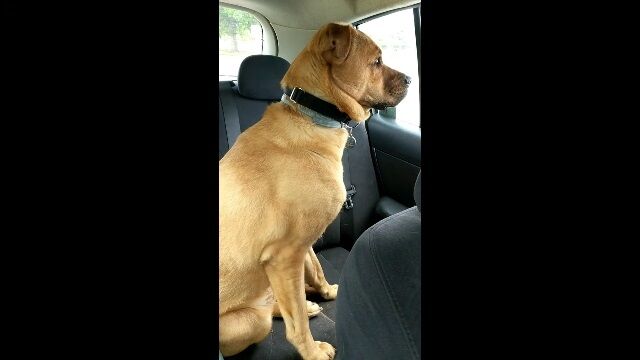 ��ʳ���ޤ����줺�˥ץ�ץ뤷³���븤