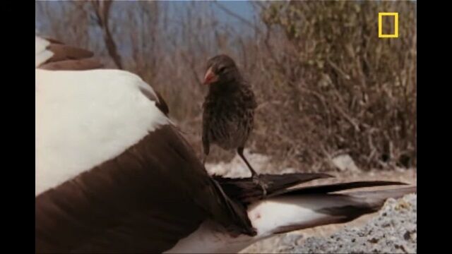 �ڱ������ա۷�դ�￩�Ȥ���ͣ���Ļ�ࡣ������ѥ����Ȥ�ƤФ��۷�Ļ���ϥ��ܥ�����ѥ����ե����