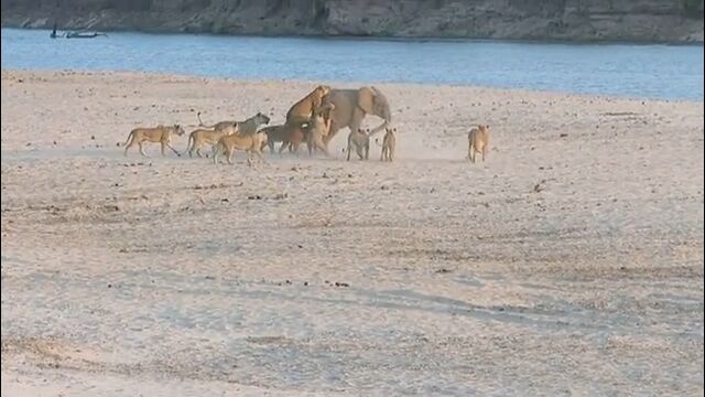 14Ƭ��Υ饤����˼��Ϥޤ�Ƥ��ޤä�����