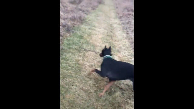 ������ͤΥԥ���ˤ��ä����ȸ��졢Ω���Ϥ�����إӤ������Ф���