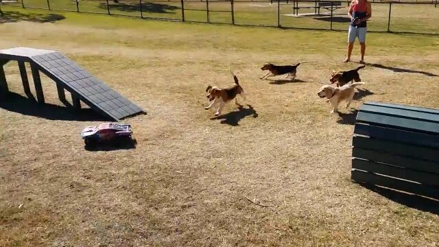 �ɥå��ѡ����ǥ饸���󥫡������餻��Τä������ڤ�����