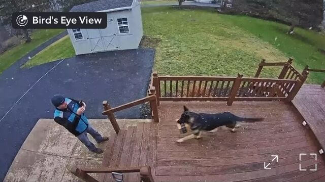 配達先のジャーマンシェパードが人懐っこすぎて困ってしまったアマゾンの配達員
