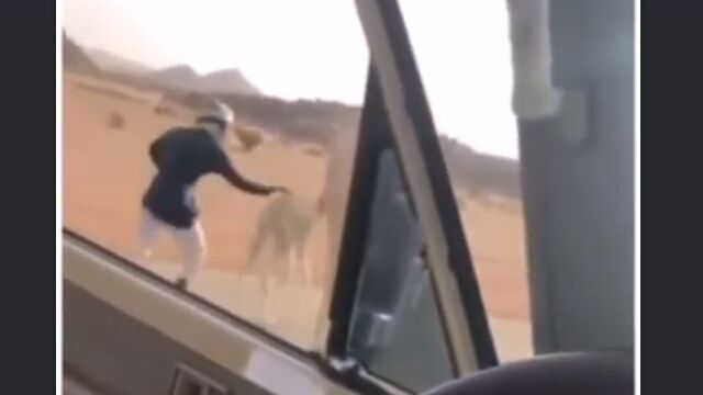 ����ϸ��������ɴ��������饯����ƻϩ�������Υ����ˡ