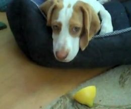 ����λ��äѤ��˿��夨��ӡ����븤