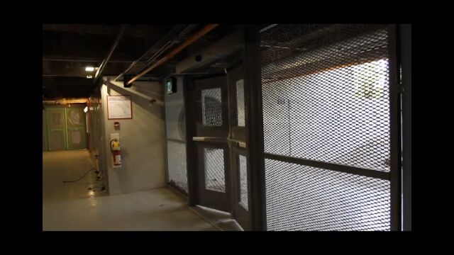 センサー位置を把握して利用。自動ドアの開け方を学習したツバメ