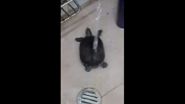 �ܤ��äѤ�������ե�եꡢ����ˤ�����ή�夬�������褯�ƴ���ʤ��餷�������󤬲İ�������