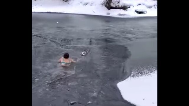 凍りついた川で溺れたハスキー犬を発見。寒中水泳で助けに行ったロシア人女性