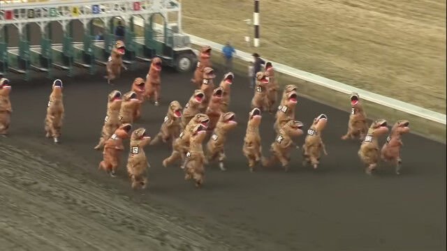 ��ε�������Ͼ�Ƕ��碌��졼�������ۤäݤ���������