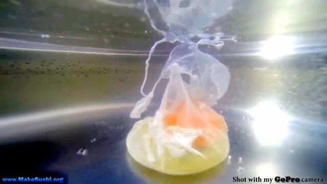 ����觤Ǥ��ʤ���į�᤿���ݡ����ɥ��å����Ǥ����ͻ�