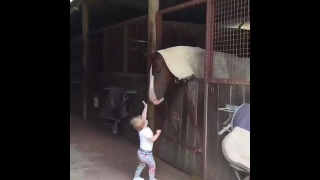厩舎のお馬さんを撫でてキス。順番にご挨拶してまわる幼女が可愛い
