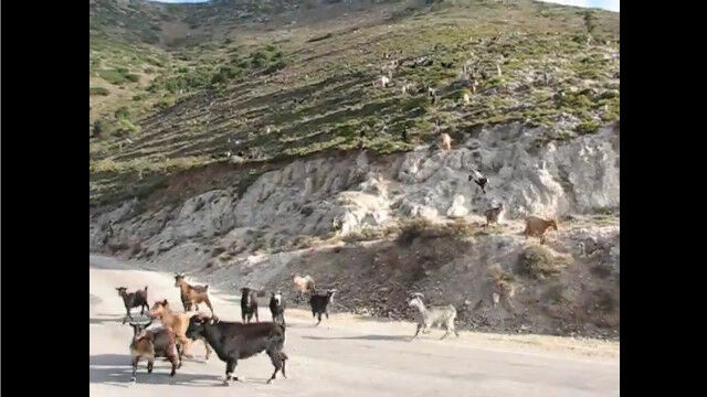 ��������Υ䥮�����ξ夫��³�����ޤ롣���ꥷ�㡢���ե����˥��������