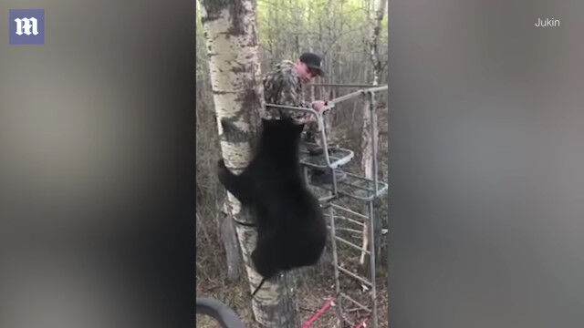 �ڤξ�Υϥ󥿡������Фꥯ�ޤ�ȭ��碌�νִ�