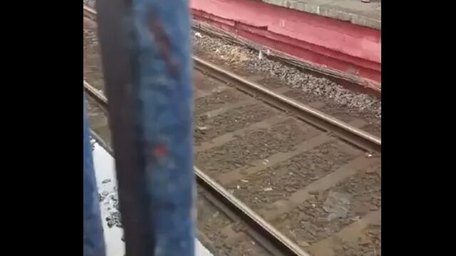 大雨が降った後のムンバイにて、線路の中を魚が泳ぐ光景