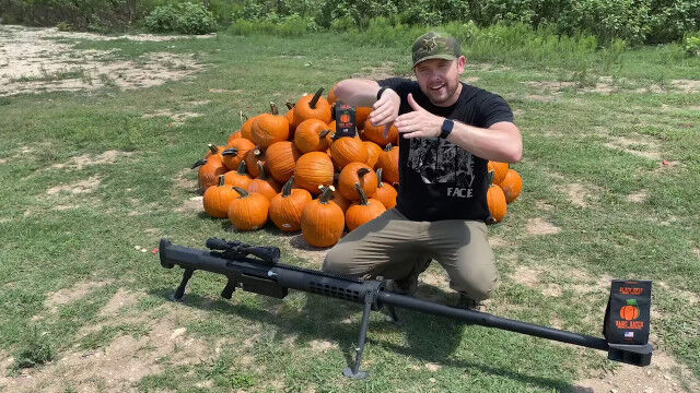 �緿����ʪ����Ƥ�Ȥ���ľ����¤٤�100�ĤΥ��ܥ������ȴ���ͷ�¸�