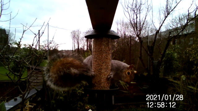 �ꥹ����Ļ�Υ��������äƸ�������å��ݥå�