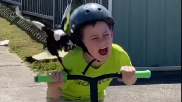 ʥåˡĤ夲ƨƤåܡɾǯ