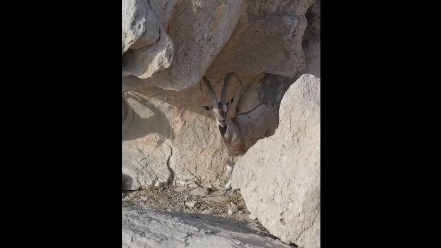 ѥǳɤ餹٥åΤ˰ɡ餹Τݤ