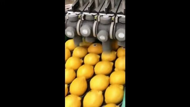 �֥���˥������Ž��פȤ��������ε������ꥺ�ശ�褯�Ƥ��äȸ��Ƥ�����