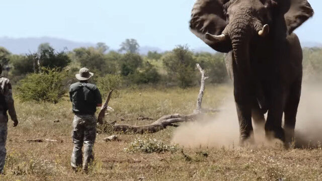 �����Υ������Ϳʤ���Ƥ��ƨ���ʤ��ɤ��Ȥ��н�Ǥ���