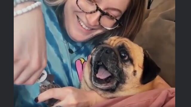 ˤ⻦줽Ĥ򤢤롢ڤ꤬ʥѥ