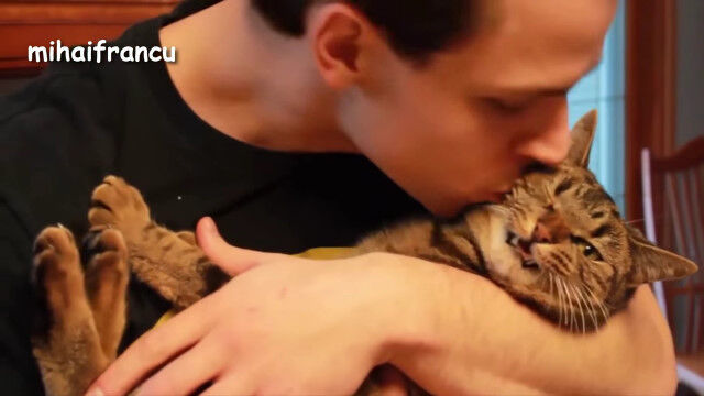 Ǥ⥭ϤǤꤵƤǭ两α