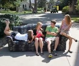 äեФ빽ιȥåץ⡼󥢥˥᡼The Couch Collective