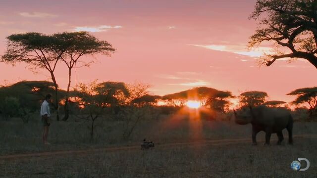 �������������̤�����ֵ�����ˡ����ä�1�Ĥ�ư��ǥ����������ɤ�ʧ��