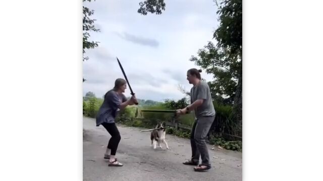 �������Ѥ�ޥ����������顢���ʤ�ζ�����餫�⤷��ʤ�