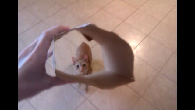 ����������ӹ���ǡֹ��Ρ��פ���ǭ�Υޥå�������