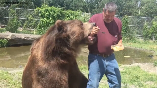 ���ΤΥ���2Ƭ�˥ϥ��ߥĤ򿩤٤����Ƥ����롢���ޤߤ����ʸ����ܤΥ��प������