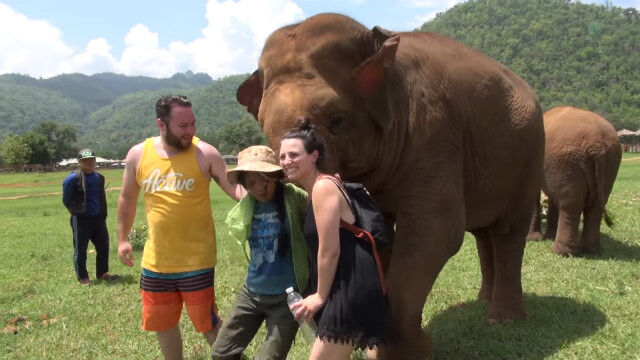 「そんな事よりこっちきて」 観光客の相手をする飼育員さんを強引に押しやり、連れていっちゃうゾウ