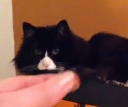 ʤ衪ʤ衪ȸ줿ءʥåĤ򿨤ǭΥ⤵