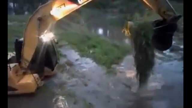 ������Ȼפ���ͼ�Ӥ��ä����롢����٥륫���äƤȤƤ�����