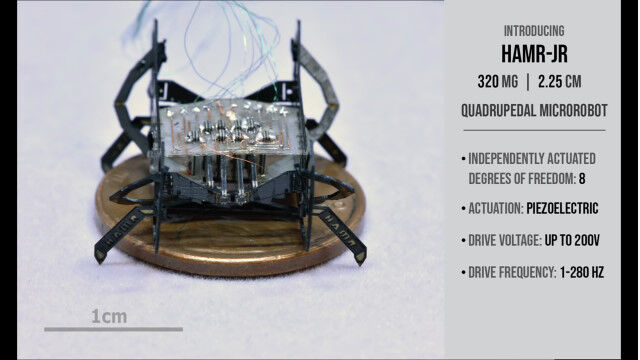 ڱաۤȤƤᤤ֥˿ȯ줿󥵥ξܥå