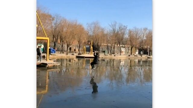 ˡ奸åץ饤Ω򡢵žƵߤä