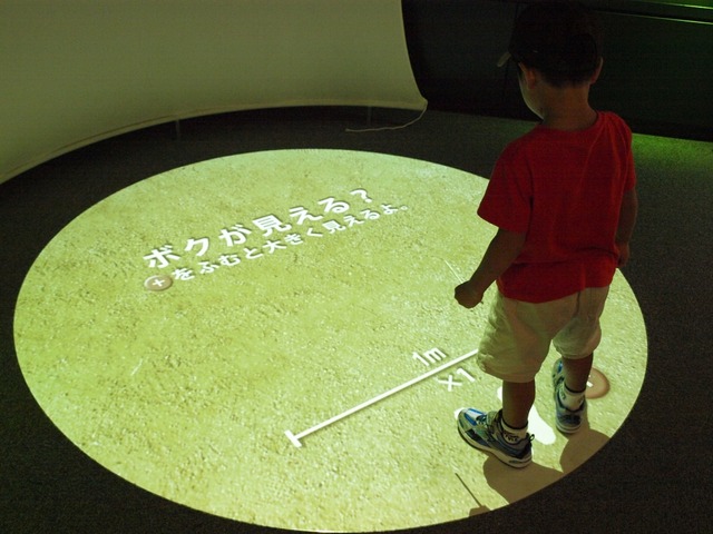 f83329e9.jpg